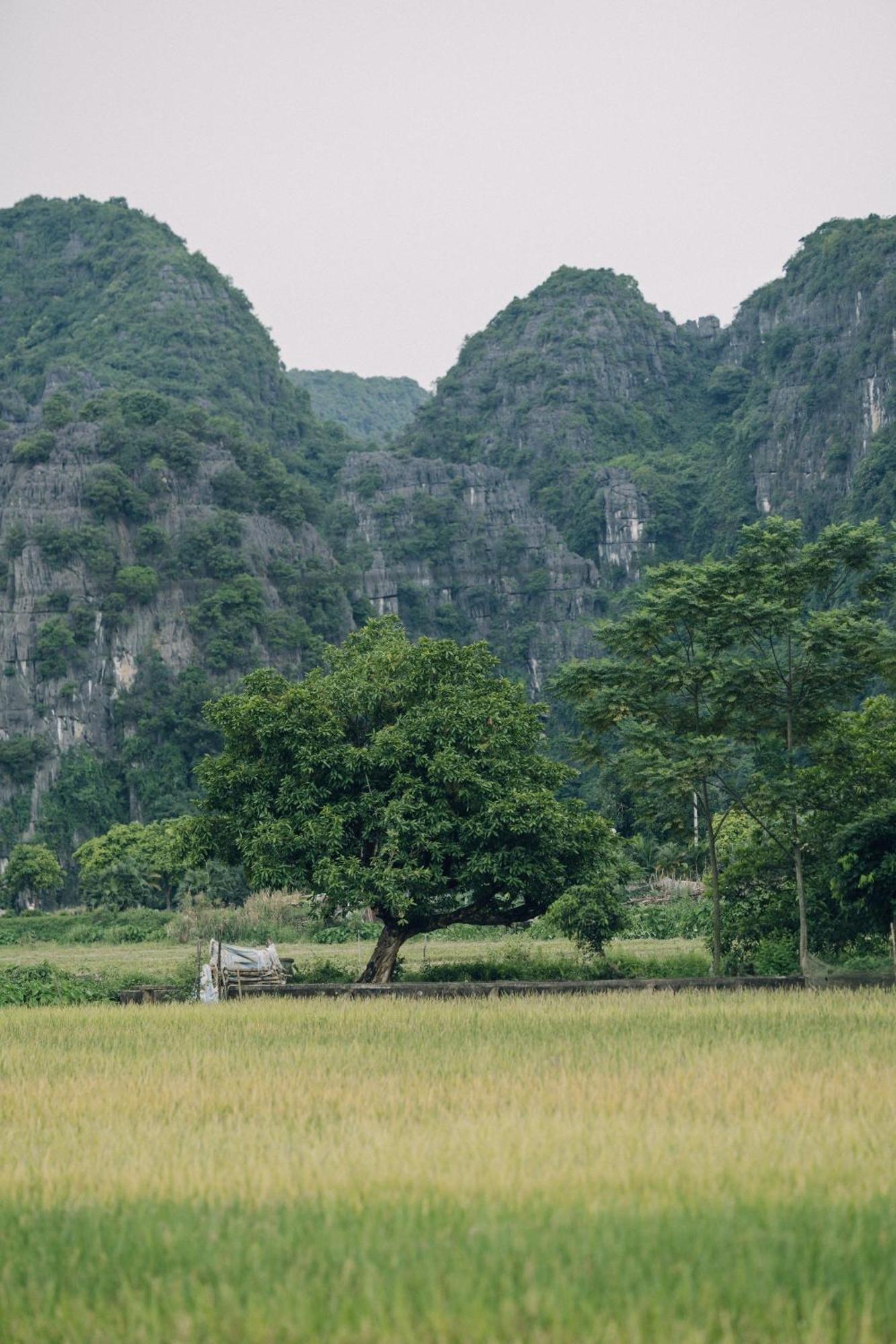 Tam Coc Windy Fields Villa Ninh Bình Kültér fotó
